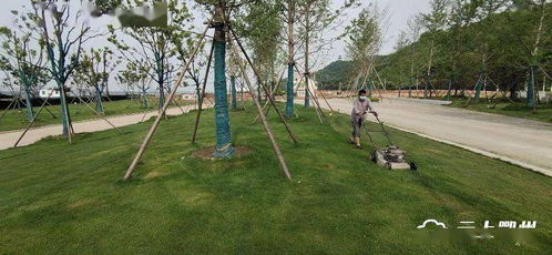 鄂州首個(gè)水上植物園即將開園，配套大橋與園林綠化工程全面提升生態(tài)景觀